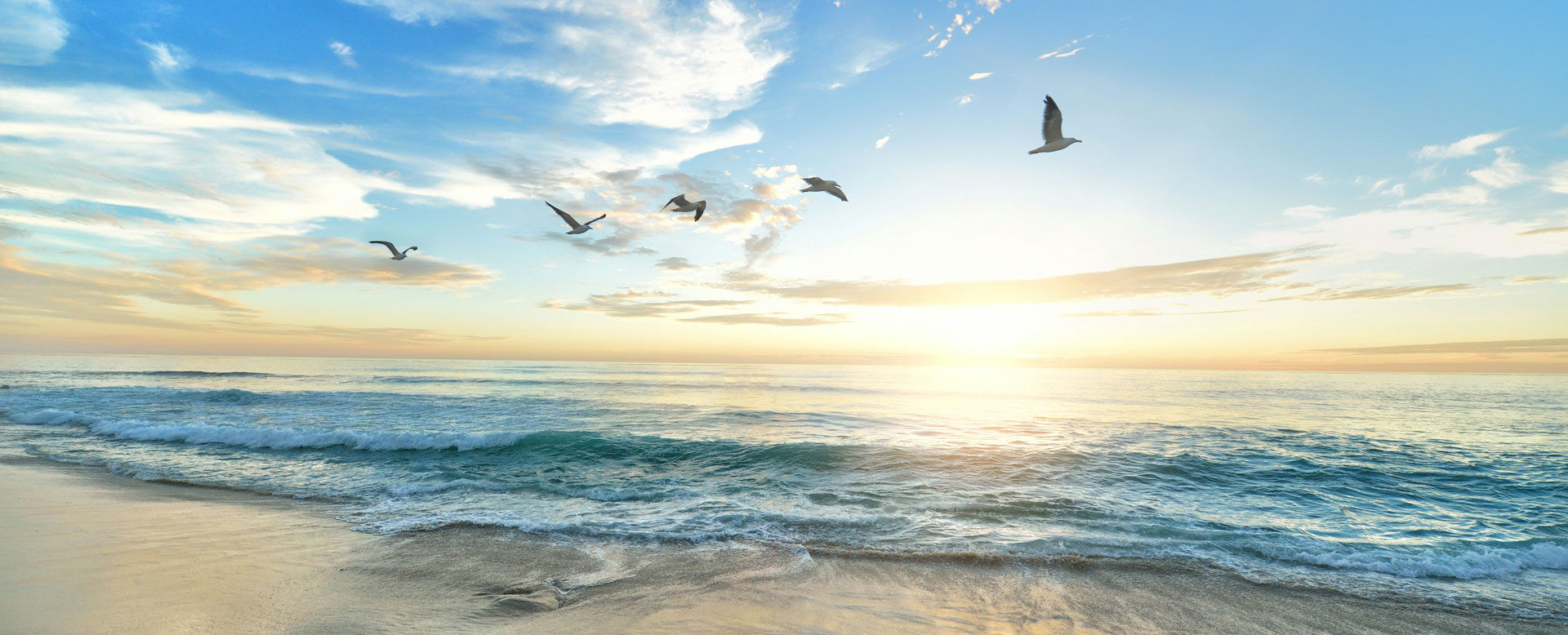 Seevögel, die über einen Strand fliegen