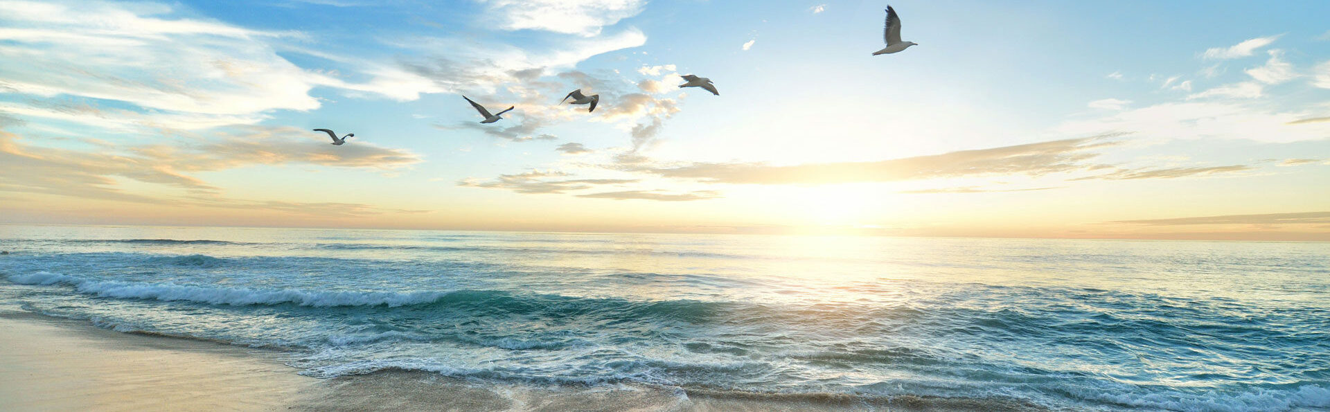 Seevögel, die über einen Strand fliegen
